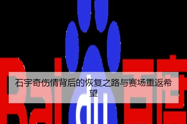 石宇奇伤情背后的恢复之路与赛场重返希望