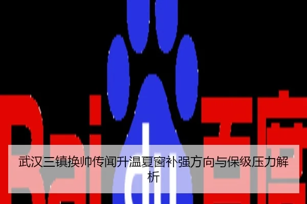 武汉三镇换帅传闻升温夏窗补强方向与保级压力解析